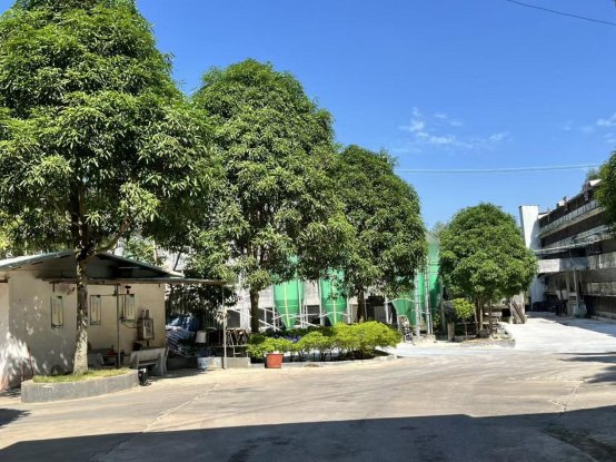 C:/Users/84611/Desktop/微信图片_20251128143818_154_46.jpg微信图片_20251128143818_154_46