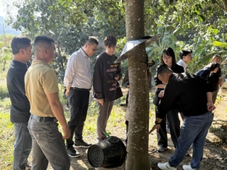 d762772032e0467d5385abb0a897e8e1